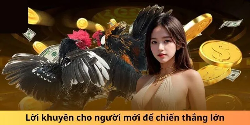 Lời khuyên cho người mới để chiến thắng lớn