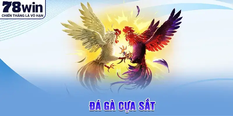 đá gà cựa sắt