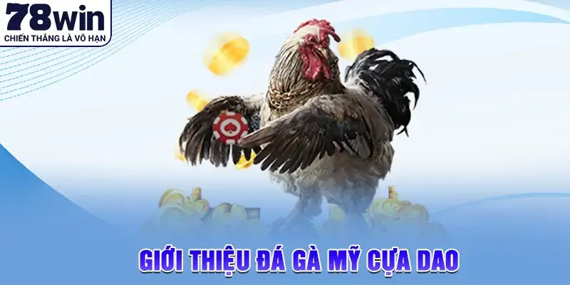 Giới thiệu đá gà Mỹ cựa dao